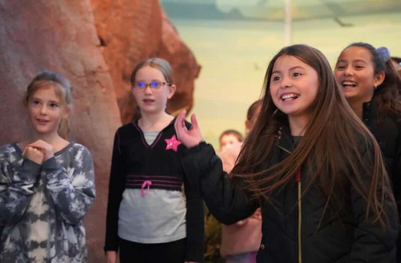 Idaho Falls: Museum of Idaho Entry Ticket - Key Points