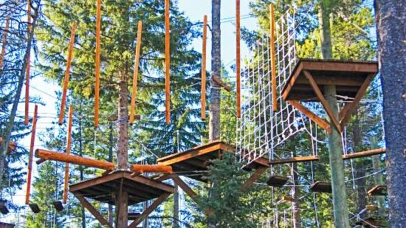 Idaho Springs: Ropes Challenge Course Ticket - Discover the Idaho Springs Ropes Challenge Course and Its Unique Features