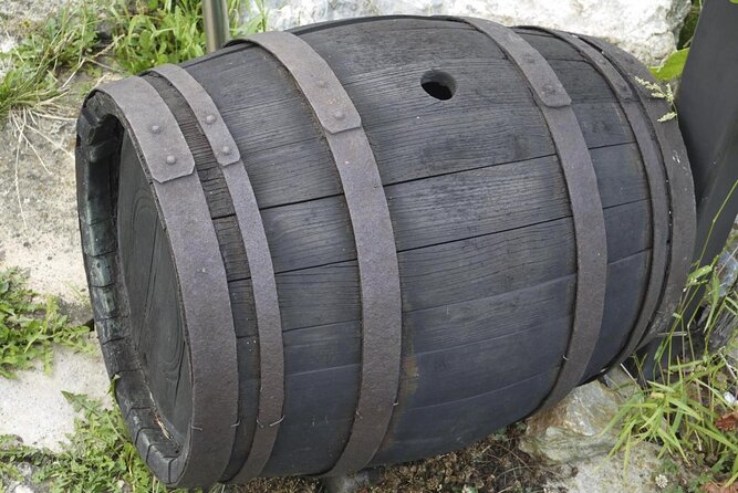 Idiazabal Cheese Farm and Basque Cider House Lunch from San Sebastian - Key Points