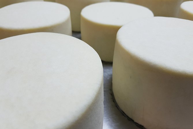 Idiazabal Cheese Farm and Basque Cider House Lunch from San Sebastian - Visiting the Idiazabal Cheese Farm in Urnieta