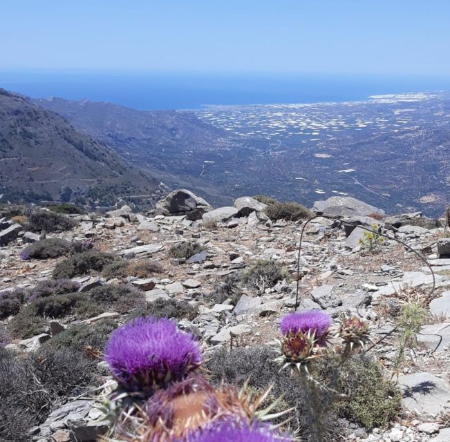 Ierapetra: Eastern Crete Nature Jeep Driving Tour - Exploring Eastern Crete’s Rugged Mountains by Jeep