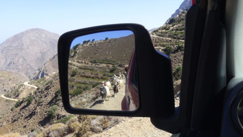 Ierapetra: Eastern Crete Nature Jeep Driving Tour - Final Thoughts on the Ierapetra Mountain Jeep Tour