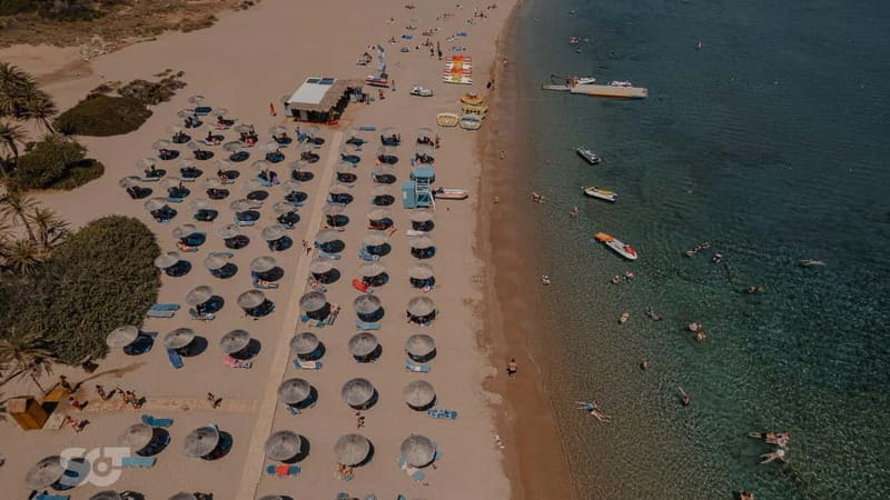 Ierapetra-Makrigialos: Vai Palm Beach, Moni Toplou & Sitia - Travel Back to Ierapetra and Drop-off