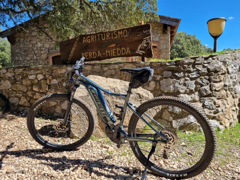 Iglesias: Rent a mountain bike with pedal assist - The Range of Bike Sizes and How They Suit Different Riders