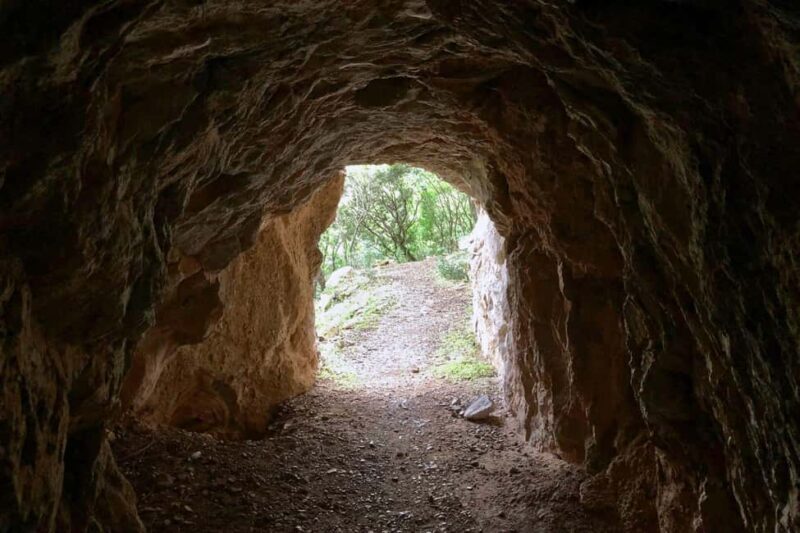 Iglesias: trekking in the Marganai Forest in Domusnovas - What Makes the Trek in Marganai Forest Special