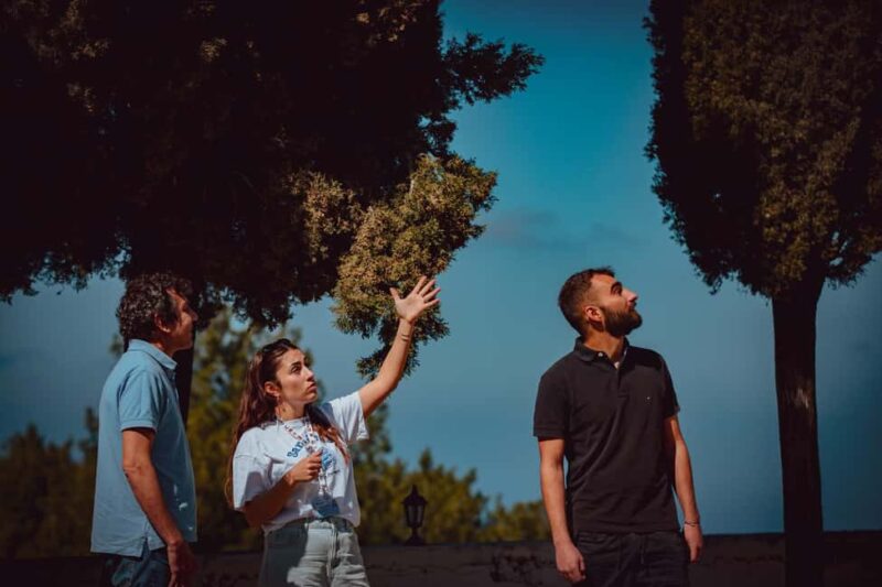 Ikaria Hike: Alama Spring - Explore the Authentic Charms of Ikaria on a Guided Hike