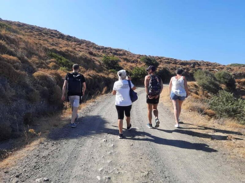 Ikaria: Hiking Tour on the Greek Blue Zone Island - Exploring Ikarias Mountain and Coastal Trails