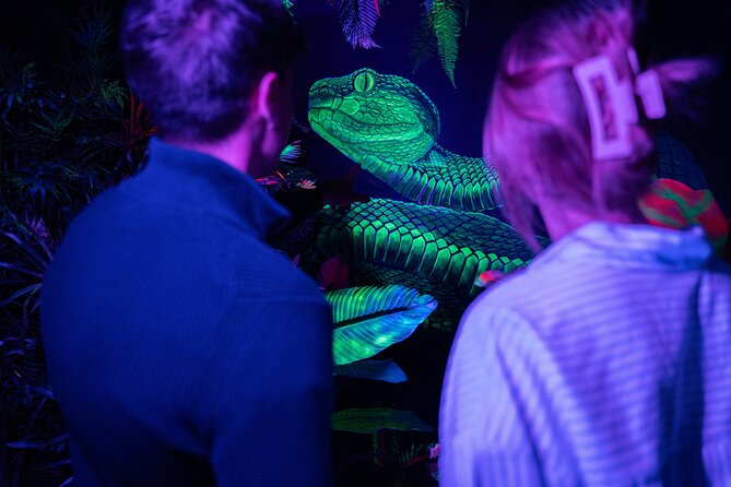 IKONO: a Unique Sensory and Photographic Experience - Evaluating the Value for Money