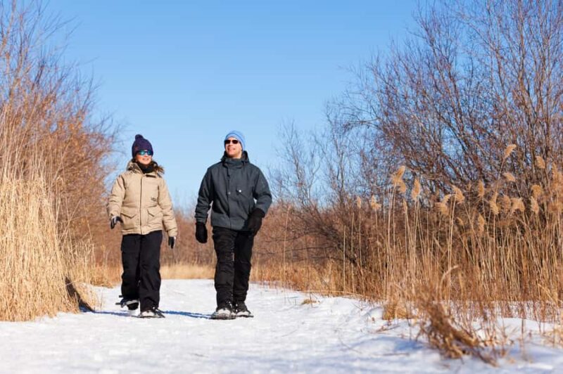 Îles-de-Boucherville: Park Entry w/ Fat-bike & Snowshoeing - Îles-de-Boucherville Entry Ticket and Equipment Rental