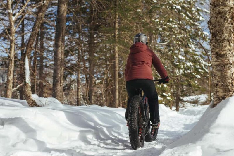 Îles-de-Boucherville: Park Entry with Fat-bike Rental - Experience Provider and Ratings