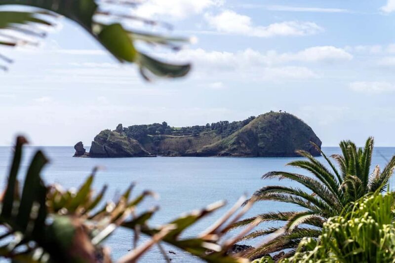 Ilhéu de Vila Franca: Inside Guided Natural Reserve Geo Tour - Who Will Enjoy This Tour Most