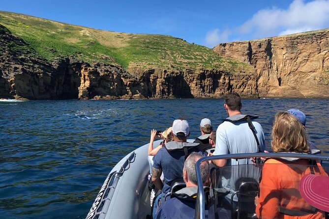 Ilhéus das Cabras in Terceira Island - Starting Point at Marina de Angra do Heroísmo