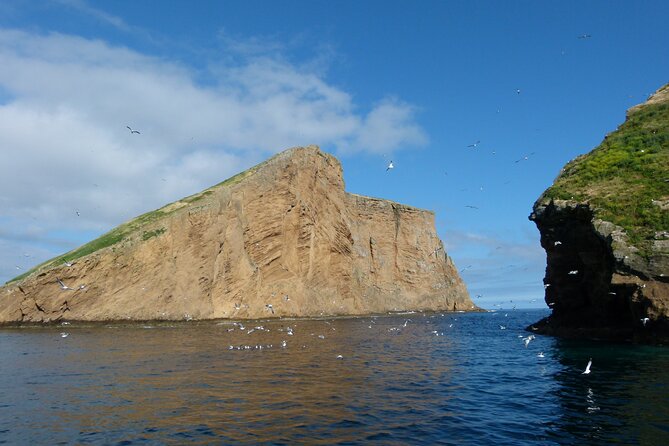 Ilhéus das Cabras in Terceira Island - Ocean Swimming and Weather Considerations