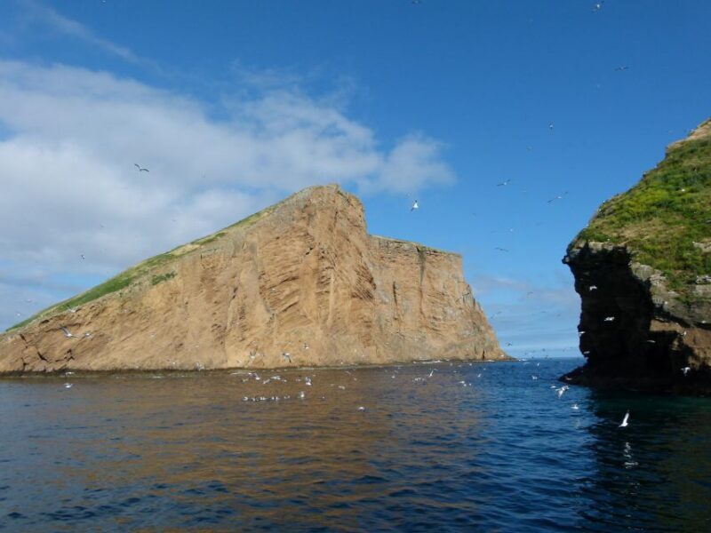 Ilhéus das Cabras in Terceira Island - Pricing, Cancellation, and Booking Flexibility