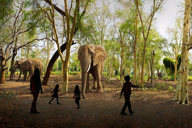 Illuminarium Atlanta - Accessibility and Comfort for All Visitors