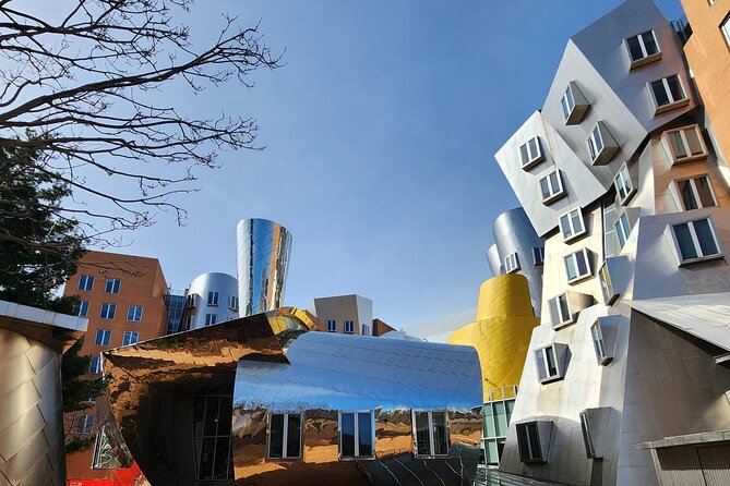 Illustrious Schools: Group Tour of MIT And Harvard - The Experience: Guided Tours with Knowledgeable Leaders