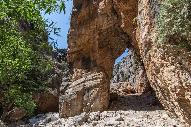 Imbros Gorge Guided Hike & Swim  Day Trip from Chania - Key Points