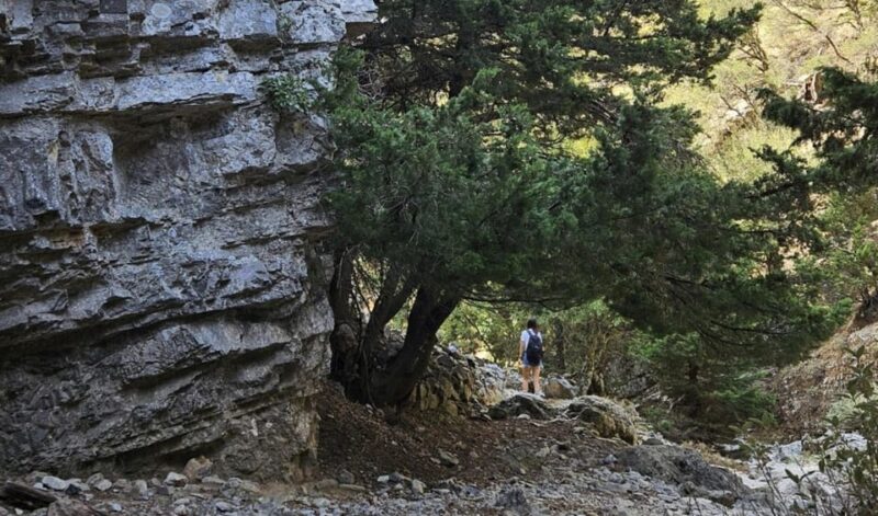 Imbros Gorge: Walk the Trail, Live the Story Private Tour - Walking the Legend: Imbros Gorge Hike with Expert Guides