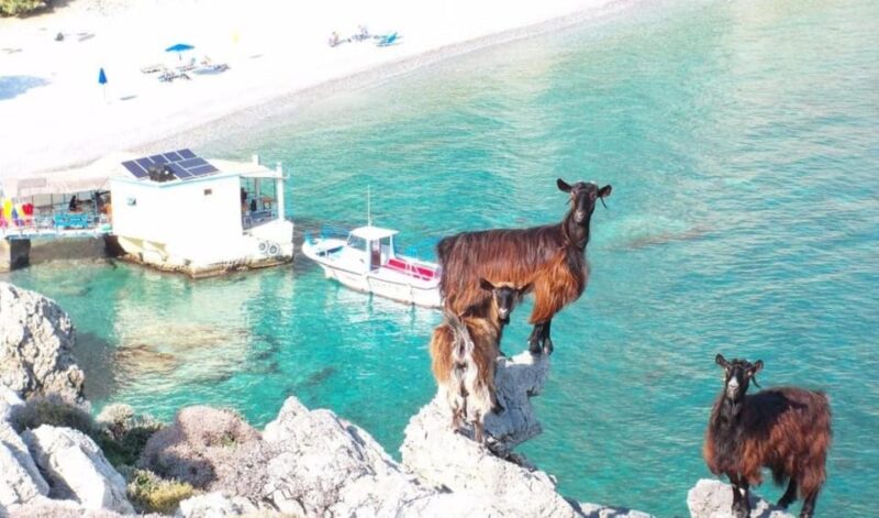Imbros Gorge: Walk the Trail, Live the Story Private Tour - The Imbros Gorge Private Tour: An Authentic Crete Adventure