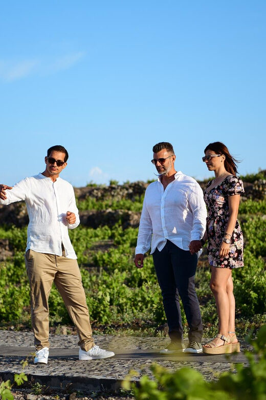 Imerovigli: Premium Wine Tasting with Caldera and Sea Views - Visiting the Private Wine Cellar