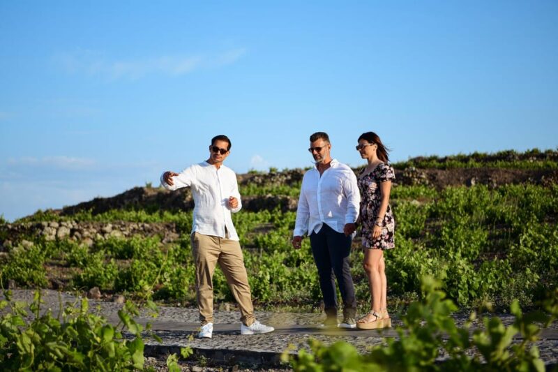 Imerovigli: Premium Wine Tasting with Caldera and Sea Views - Logistics and Meeting Arrangements