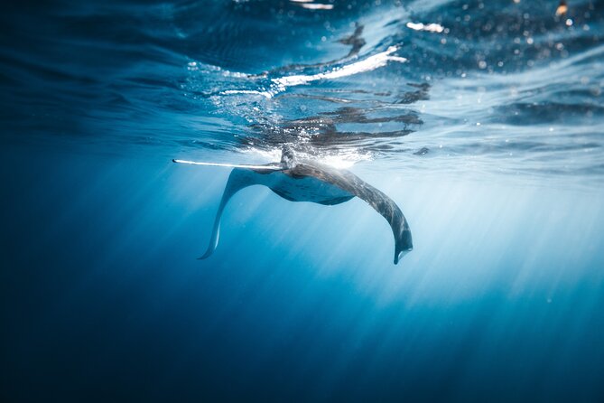 'Imiloa Express N Pali Snorkel Tour - Snorkeling Adventure and Conditions