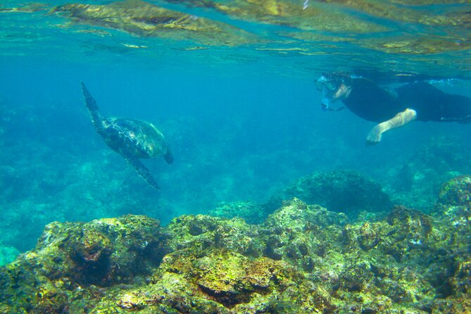 'Imiloa Express N Pali Snorkel Tour - Why Choose the Imiloa Express N Pali Snorkel Tour