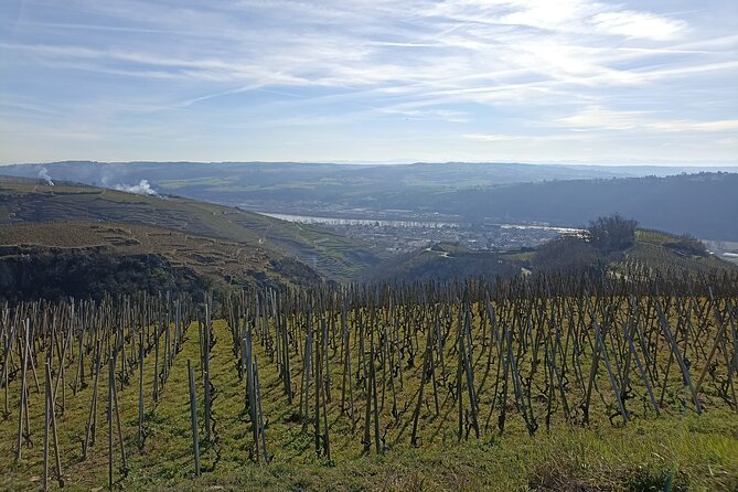 Immersion Domaine E.GUIGAL Visit wine cellars and tasting - Discover the Authentic Charm of Domaine E. Guigal in the Rhône Valley