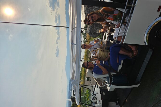 Immersion in the Geneva vineyards by tuktuk with tasting - Guide Expertise and Customer Satisfaction