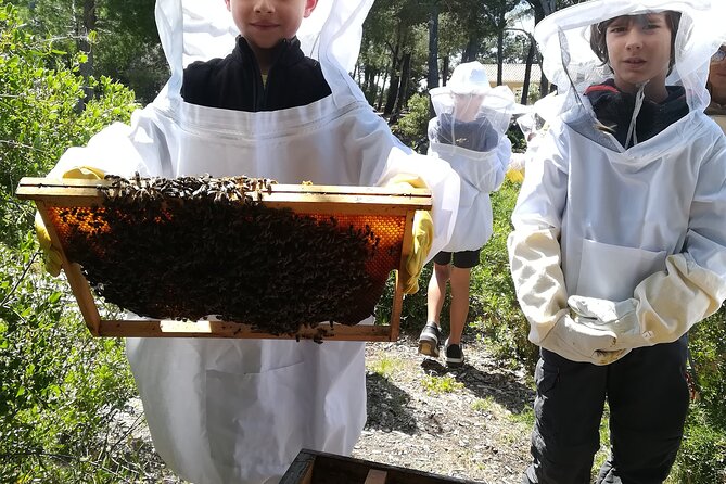 Immersion in the Life of a Hive and its Sacred Bees - Key Points