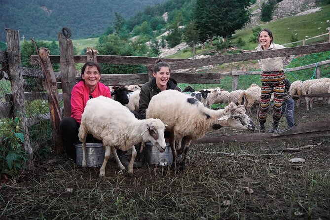 Immersive 2-Day Tour/Homestay with Shepherds in the Albanian Alps - Authentic Albanian Alps Shepherd Homestay for $92.92