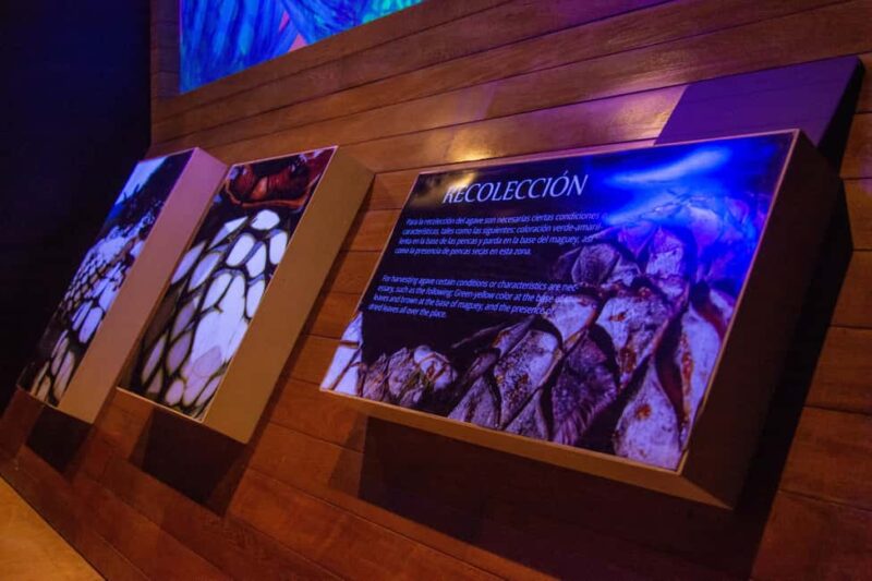 Immersive Experience & Tequila Tasting in Puerto Vallarta - The Welcome Cocktail Sets the Tone