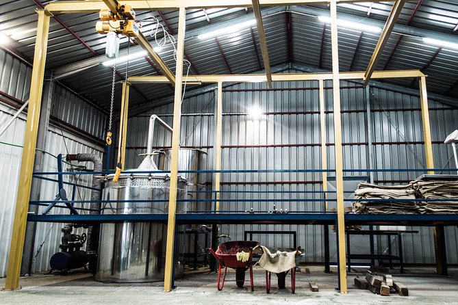 Immortelle farm island Krk - Explore Krk Island’s Immortelle Farm for a Unique Experience