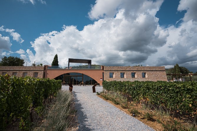 In a carriage among the vineyards, visit of the cellar, tasting of organic wines. - A Unique Wine Tour in Tuscany’s Upper Maremma