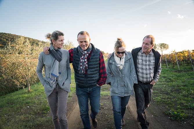 In a carriage among the vineyards, visit of the cellar, tasting of organic wines. - Visiting the Cellar, Barrel Cellar, and Amphorae
