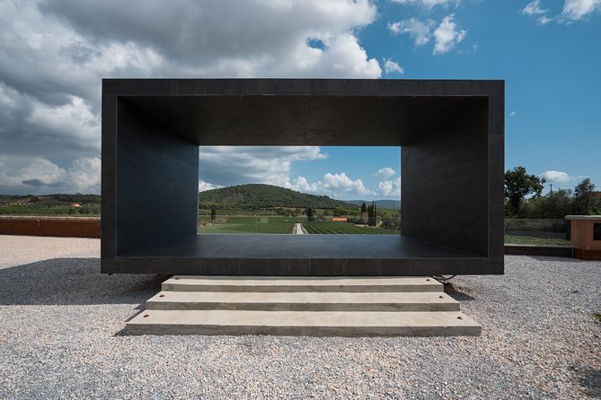 In a carriage among the vineyards, visit of the cellar, tasting of organic wines. - A Perfect Choice for Wine Enthusiasts and Nature Lovers