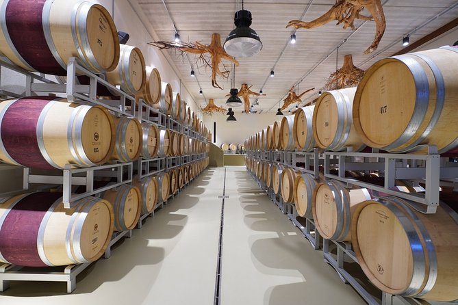 In a carriage among the vineyards, visit of the cellar, tasting of organic wines. - Summing Up the Tuscany Carriage and Organic Wine Tour