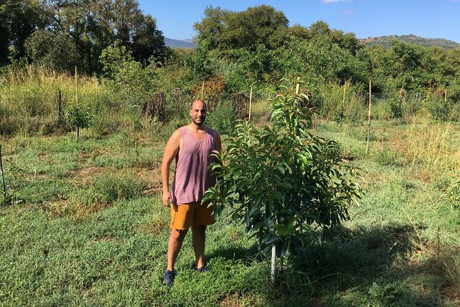 In Crete Discover the miracle of Olive Oil and Organic Fruits - Exploring the Olive Oil Monastery in Apokoronas