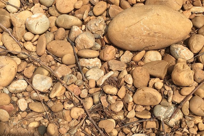 In Depth Chateauneuf-du-Pape - The Tour Start: Meeting at Parking Baron Le Roy
