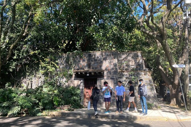 In the Footsteps of Frida Kahlo and Diego: Coyoacan and San Angel - The Vibrant Atmosphere at Jardin Centenario