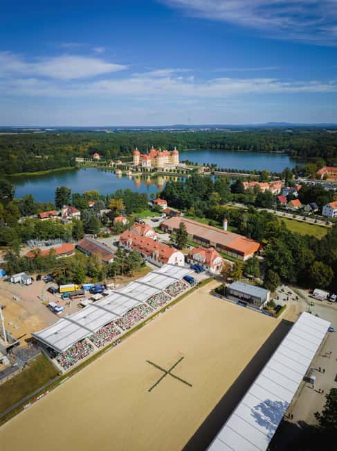 In the shadow of Moritzburg Castle  a guided tour through the town center - Key Points