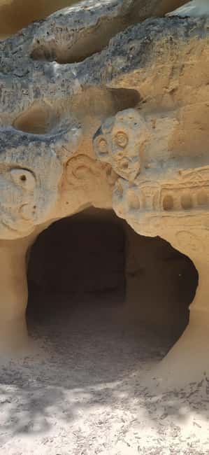 In the woods of Bibbona, a walking tour with an archaeologist in a mysterious necropolis - Exploring Bibbona and the Forest Path