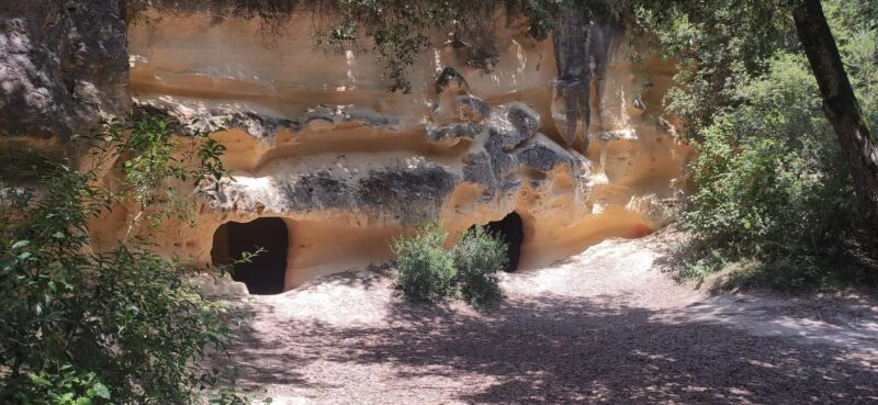 In the woods of Bibbona, a walking tour with an archaeologist in a mysterious necropolis - Practical Details: How the Tour is Structured