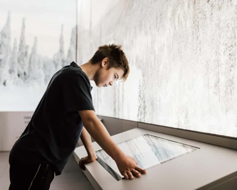 Inari Cultural Day - Lake Inari Cruise & Siida Sami Museum - Similar Experiences and Additional Options