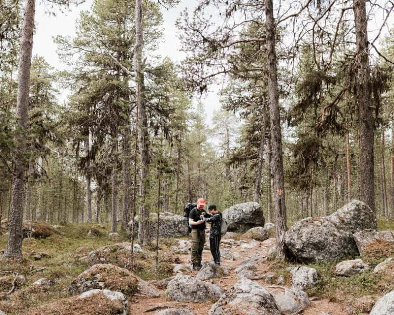 Inari: Hiking Day with picnic lunch - The Guide Leads You Through Arctic Landscapes