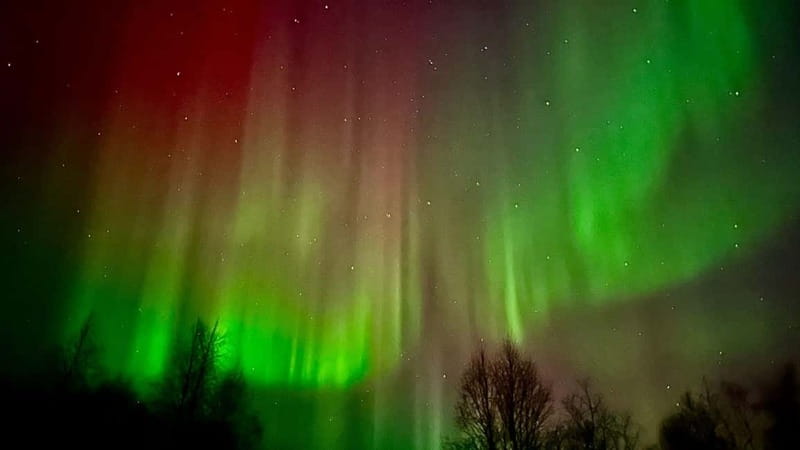 Inari/Ivalo: Aurora Hunting Tour by Car with Warm Drinks - Inari/Ivalo: Aurora Hunting Tour by Car with Warm Drinks – A Cozy Arctic Chase for the Northern Lights