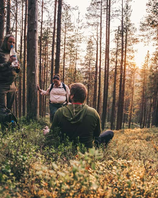 Inari: Midnight Sun Guided Hike with sparkling drinks - Key Points
