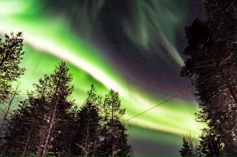 Inari: Northern Lights Hunt Snowmobile Safari - Practical Tips for a Successful Safari