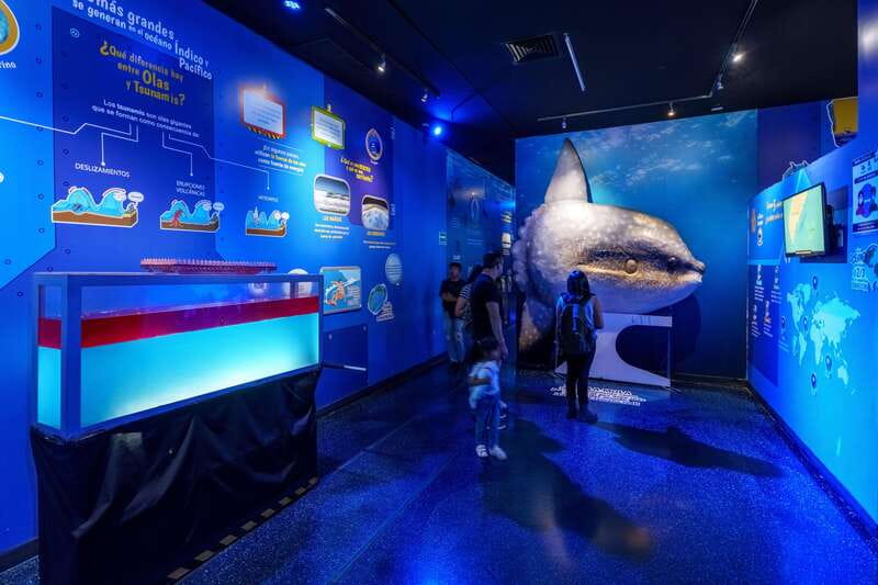 Inbursa Aquarium Entry Ticket with VR Option - Explore the Inbursa Aquarium with Priority Entry and Interactive Exhibits