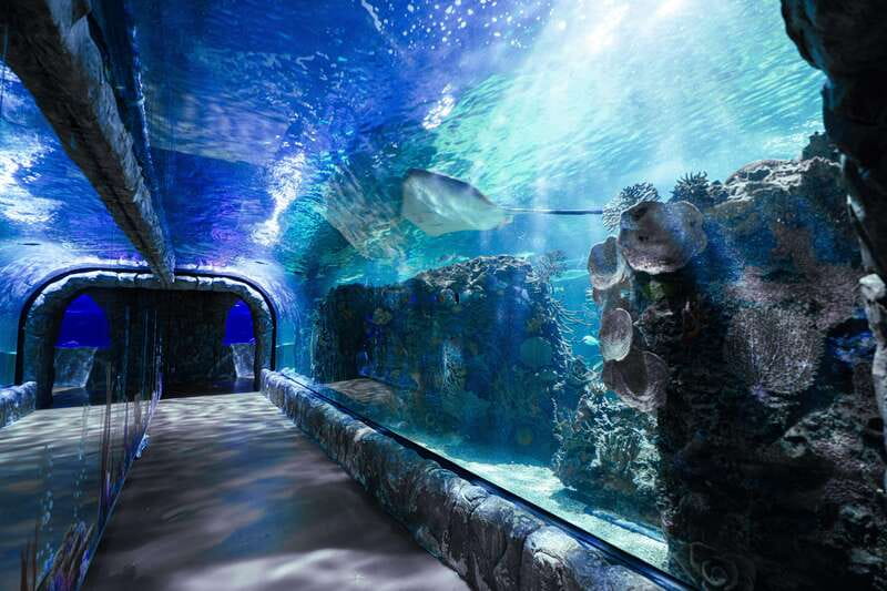 Inbursa Aquarium Entry Ticket with VR Option - Key Points